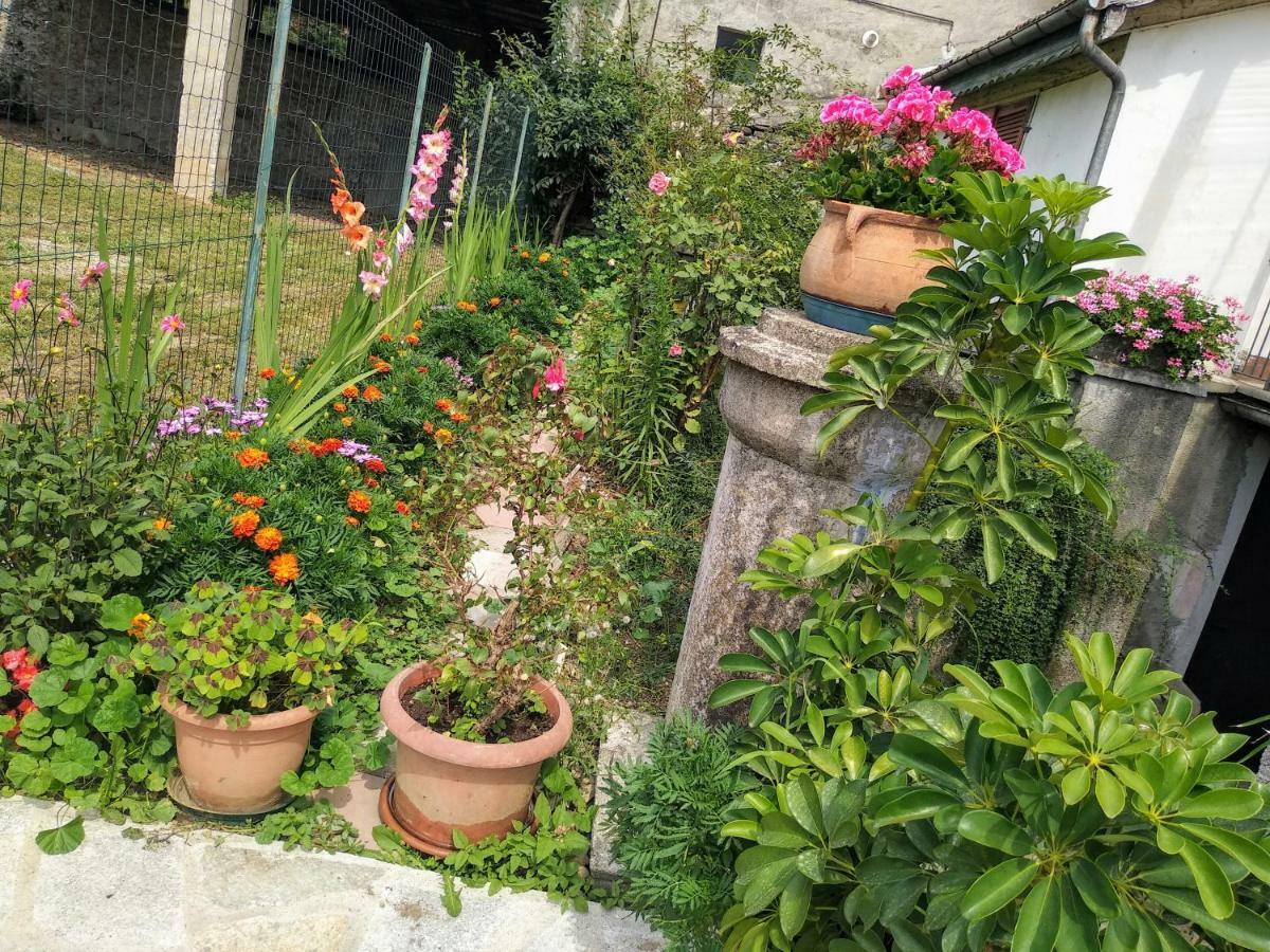 Chez Bonjour Villa Villar Pellice Ngoại thất bức ảnh